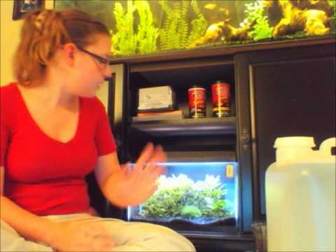 how to adjust ph in aquarium