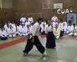 Aikido CUA demo
