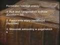 Co naprawdę mówi Bóg o nierządzie w Biblii?