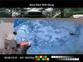 Blue Screen Test