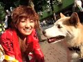 Shiba & JRT v118 ??????????????2 ??????? Shiba & JRT v118 ??????????????2 ???????