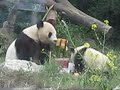 Fu Long & his birthday cake