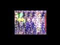 Death Smiles Final Stage PT 2 NEW Cave Arcade Follett