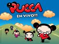 Pucca en Vivo¡