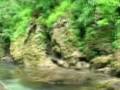 Montenegro-Tara