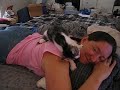 Oreo LOOOOOOVES me!