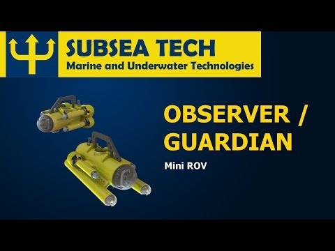 Mini-ROV Observer and Guardian