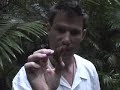 Puerto Rico-El Yunque