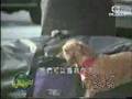 Anjing-Maling