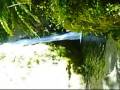 videos de Te Ana Falls.wmv
