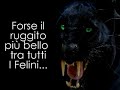 Black Panther – Black Panther