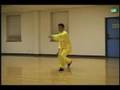 CHEN STYLE TAIJI FAN lijun wang 陈式太极扇 王力军