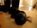schyster and the ball