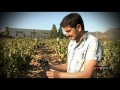 Bodegas Tobelos Elaboración ILOVEWINE