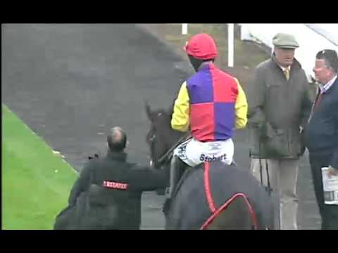 horses grand national