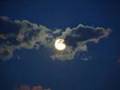 Claire de Lune by Enigma