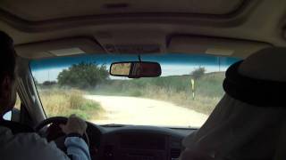 جولة رائعة في تل الصافي