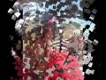 CAMINO DE SANTIAGO 2008.wmv