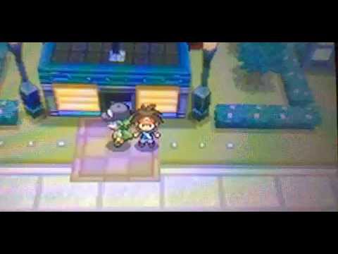 how to find n in pokemon black