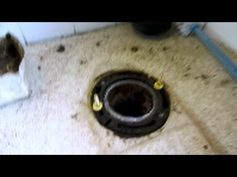 how to repair flange on a toilet
