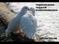Durduramazs�n - Temel G�kt�rk