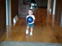 Kennedy Playing Soccer Kennedy Playing Soccer