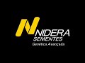 Nidera: Exagero de Produtividade Nidera: Exagero de Produtividade