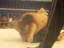 Grappling Grappling