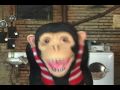 dr  phil sex tape causes divorce! blog monkey exclusive!