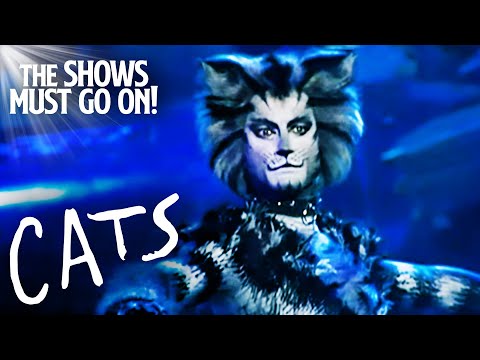 'Jellicle Songs for Jellicle Cats' | Cats The Musical