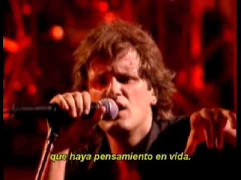 DVD - Sin palabras,