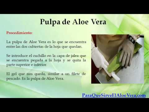 Melkomorschinistyy el tipo del envejecimiento de la persona