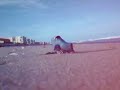 portuguese man o war