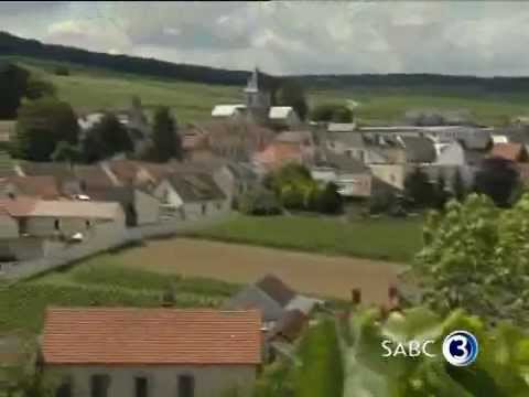 Simba visits the Champagne region in France