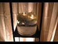Platinum Weddings Fresno California, Fresno Event Designer, Planners, Fresno Weddings