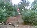 Jumps 3 Jumps 3