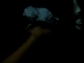 Natal 25-12-2009 059.MOV