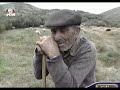 Rosa Brava 2 de 2