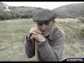 Rosa Brava 2 de 2