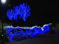 Zoo Lights at the Oregon Zoo