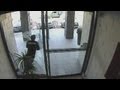 Video: Purse Thief Runs Through Glass And Knocks Himself Out