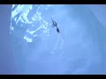 New PVC lures in the tub