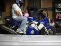 R6-Bustin-Pink
