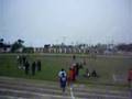 postas 2007 cifo