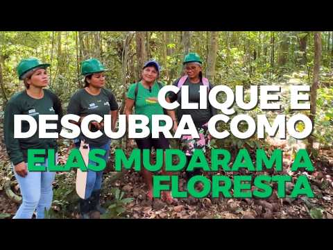 Protagonistas da floresta: mulheres extrativistas de castanha-do-brasil