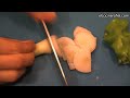 Video de Cocina - Pollo con Fideos
