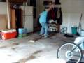 videos de trevors skate video