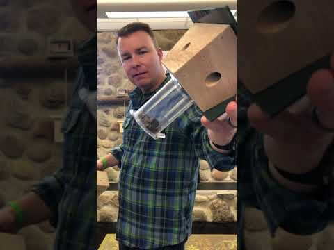 image preview of video showcasing Video: When Do You Empty a Carpenter Bee Trap?