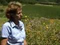 Hands On Gardening - Alternative Gardening