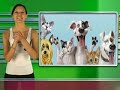 Música de Mac y el auto-piscinazo | Telurica TV 327 Música de Mac y el auto-piscinazo | Telurica TV 327